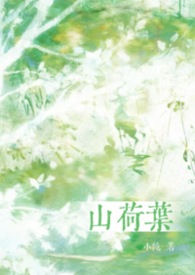山荷叶花花语和寓意